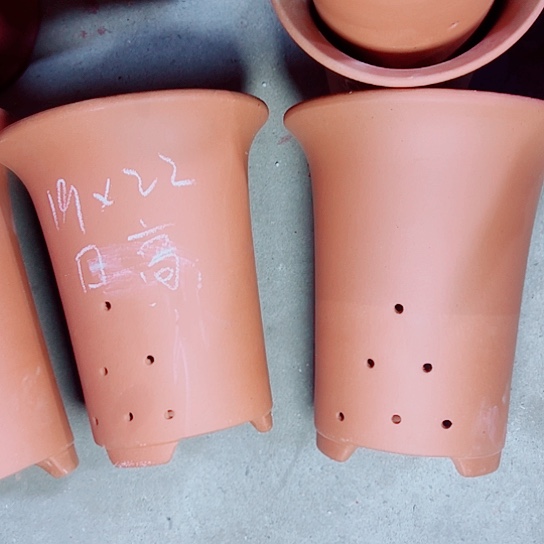 红陶紫砂紫砂紫砂