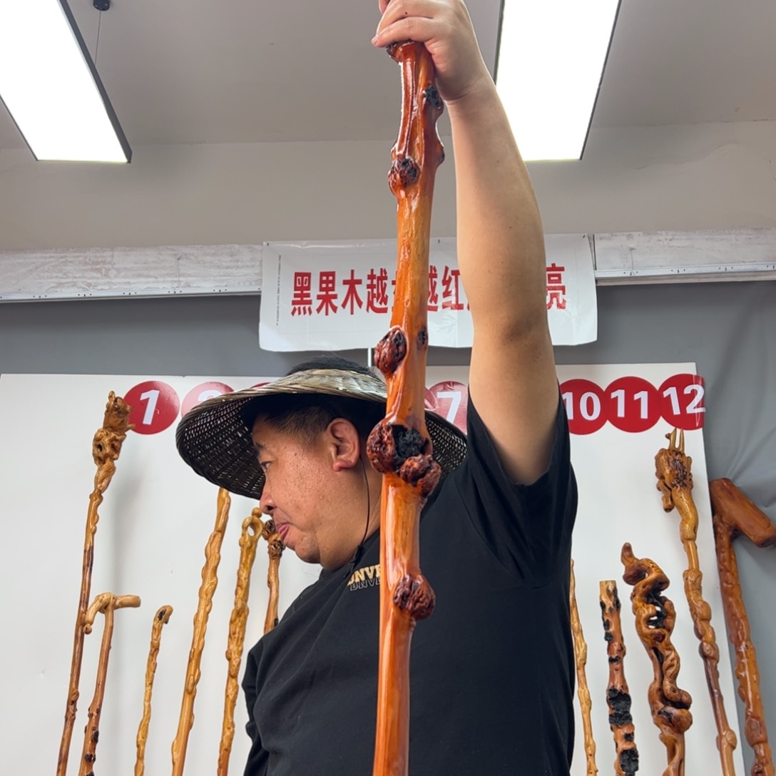 黑果木其他西**哥黑果木785