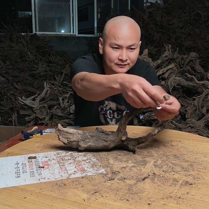 木鱼缸造景 杜鹃根188