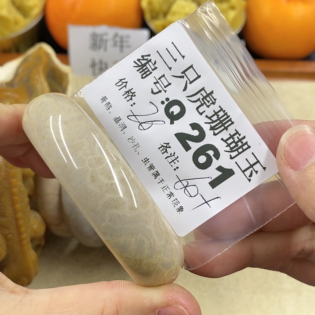 硅化珊瑚（珊瑚玉）1未镶嵌y****e