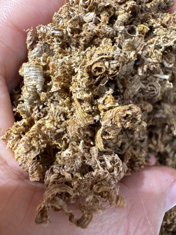 海南黄奇刮丝熏香料10克（凉味十足）