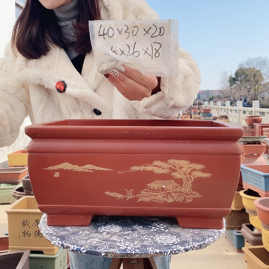 紫砂花盆紫砂花盆