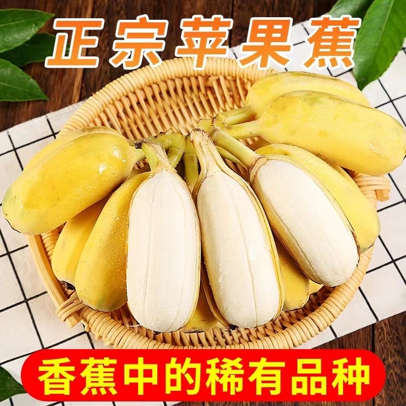 【十七专属】广西苹果蕉正宗苹果粉蕉当季新鲜水果包邮香蕉饱满香甜