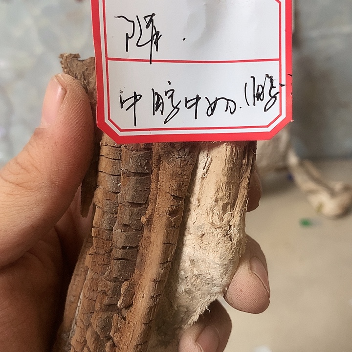 随***堂大叶紫檀（黑酸枝木类）