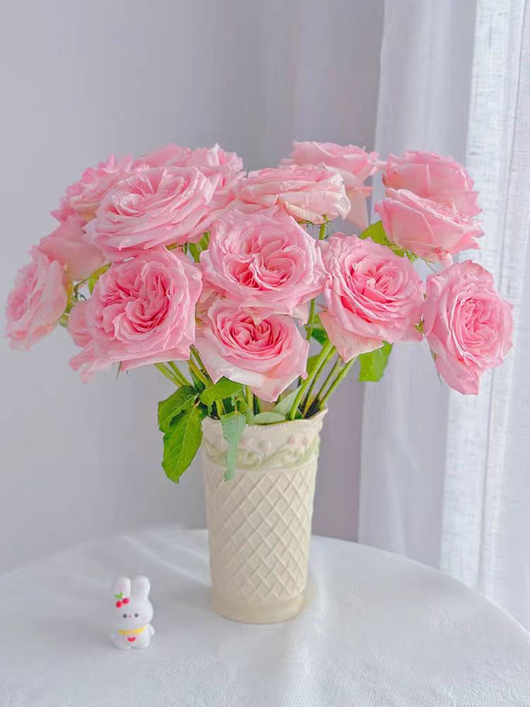 【两单顺丰一单中通】粉荔枝玫瑰鲜花直播间现场直播卖花