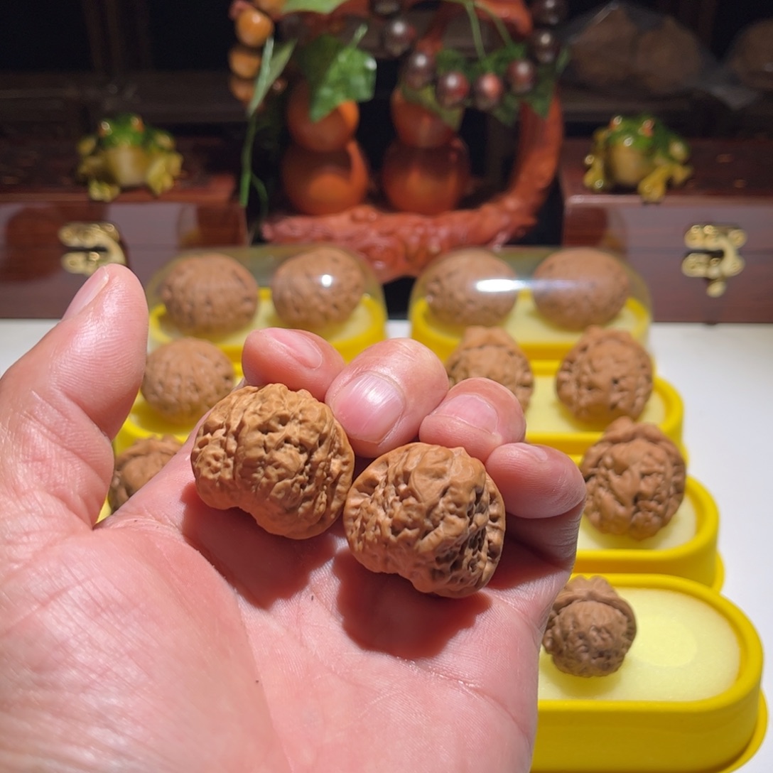 随***&文玩核桃把件昌平娃直播中欢迎观看