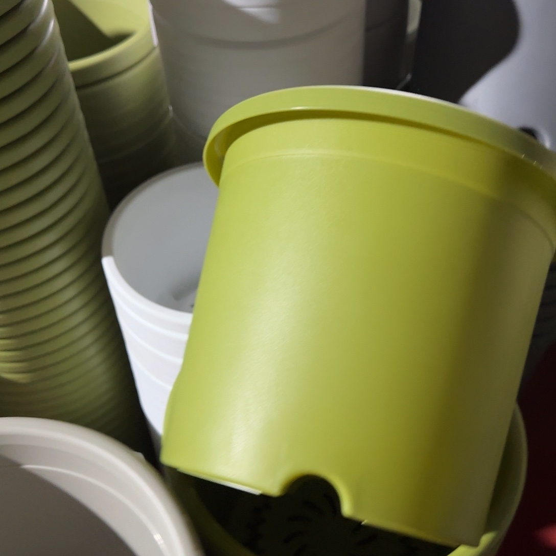 树脂四季5号无托6个果绿微瑕