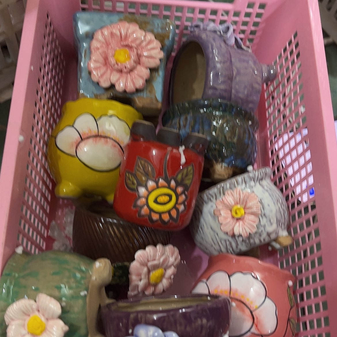 【闪购商品】红陶16149