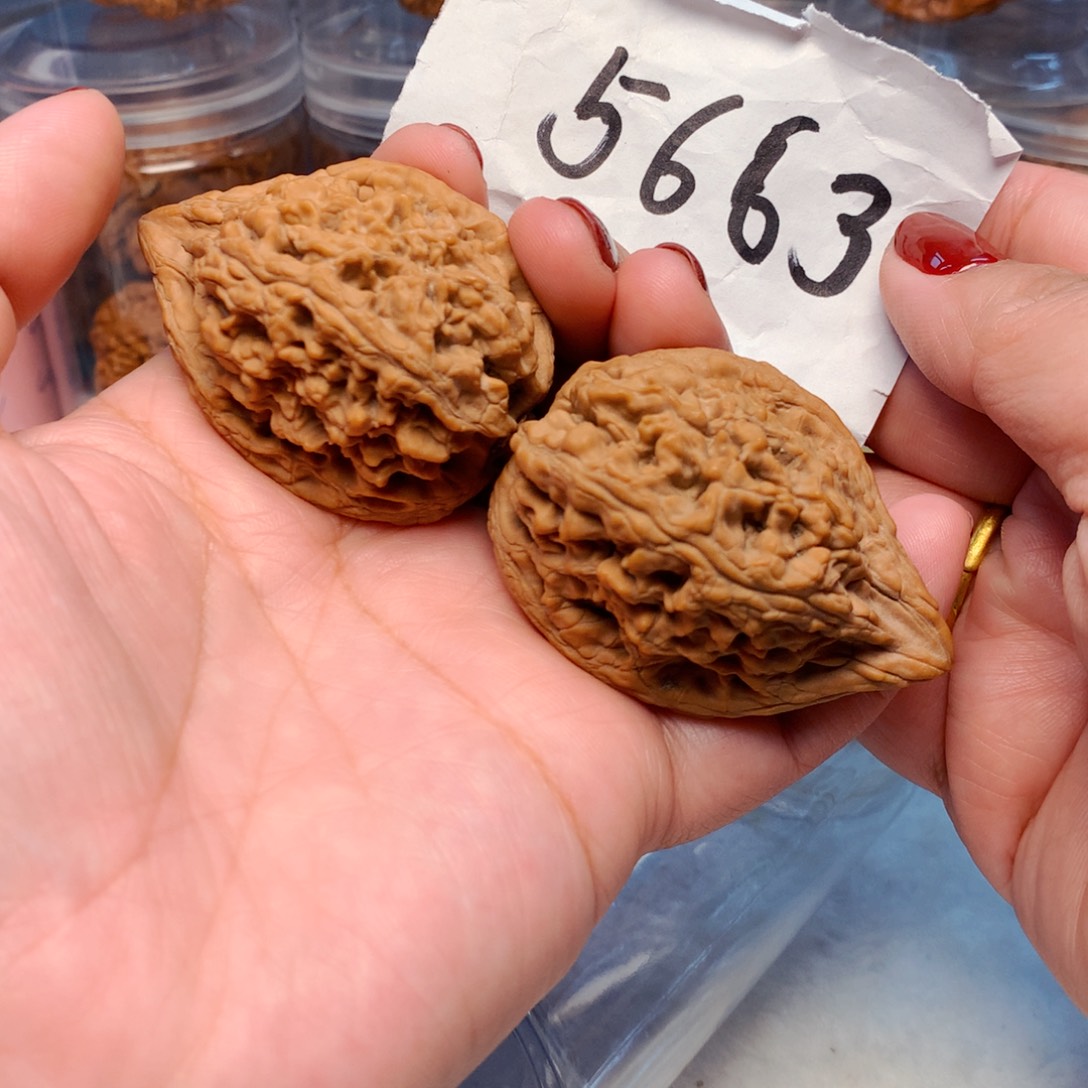 核桃手串/手链大沽石40尺