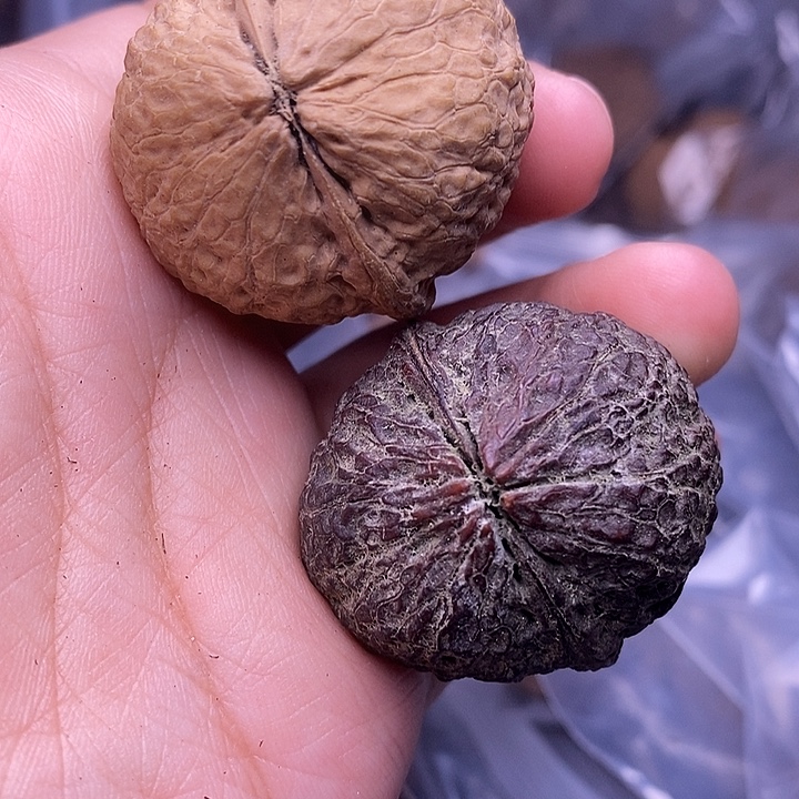 文玩核桃把件   57