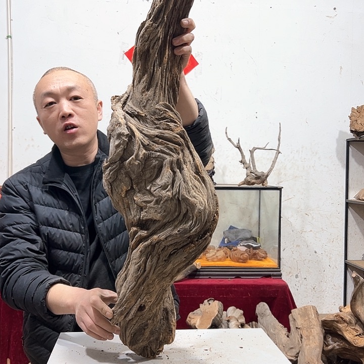 柏木用****4我们的生活是