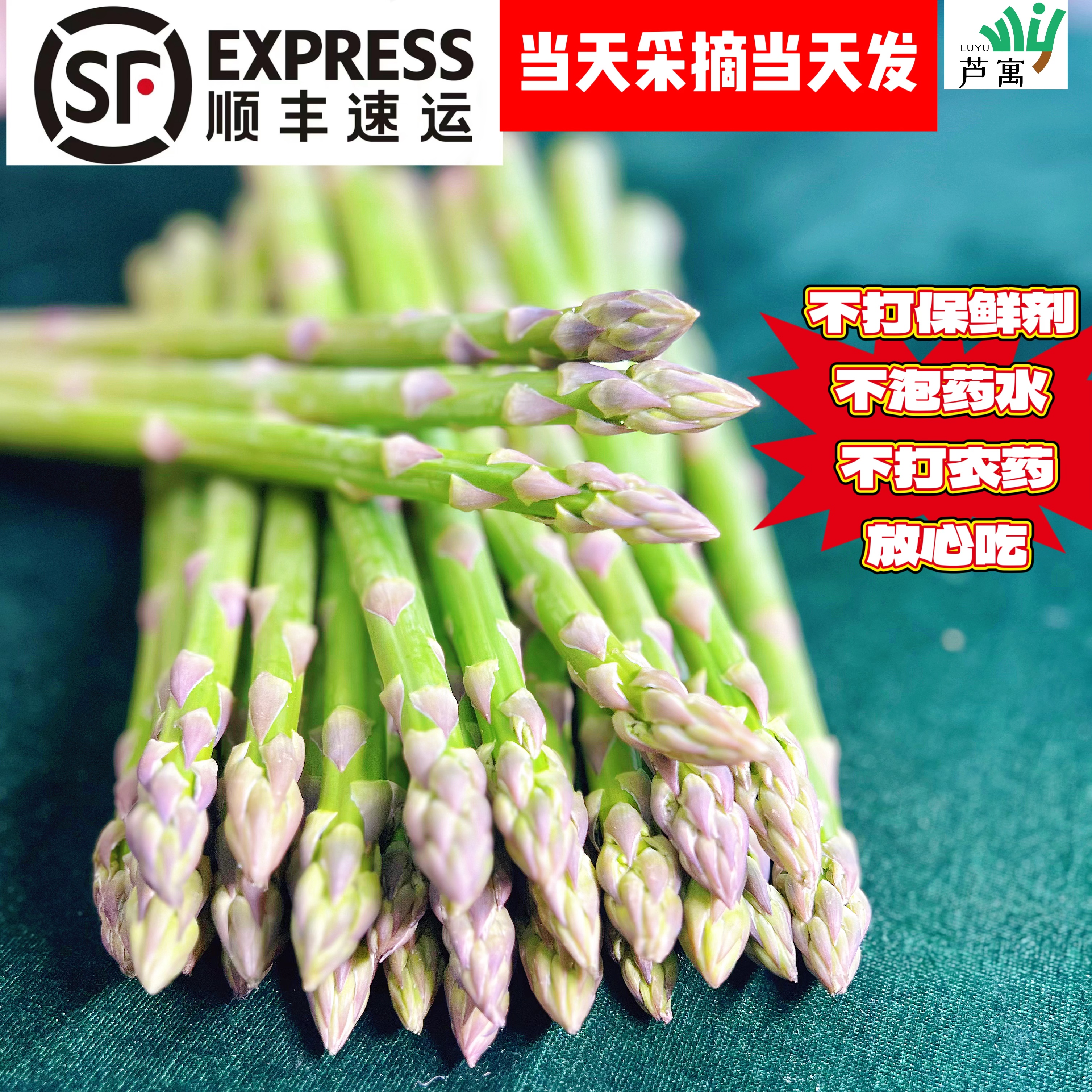 芦寓精品大芦笋营养丰富顺丰送货上门基地现采现发绿色健康