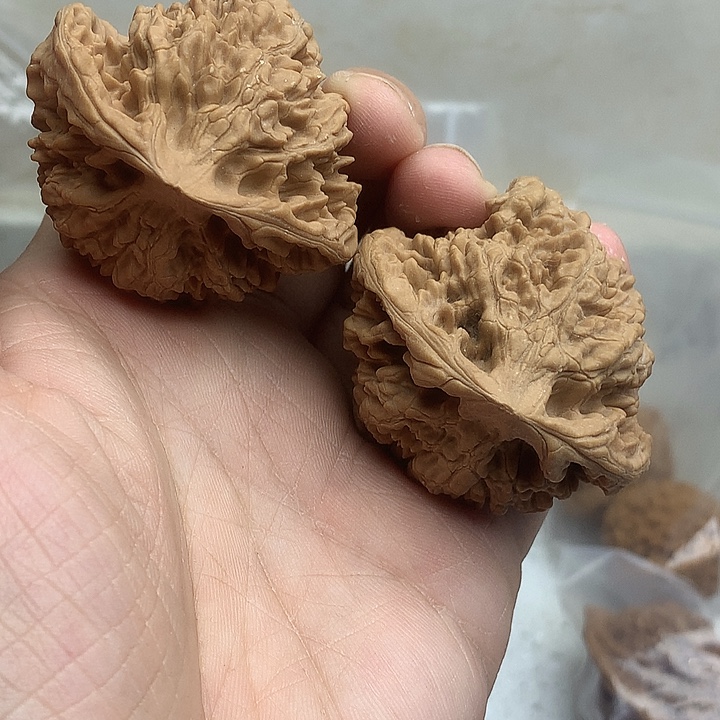 文玩核桃吊坠50 龙鼎鲶鱼