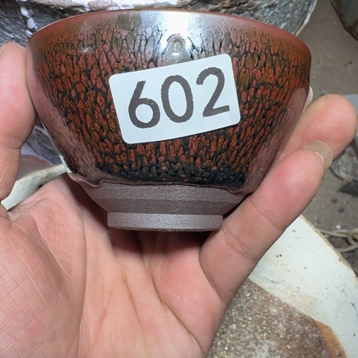 茶盏超级喜欢这个视频602集