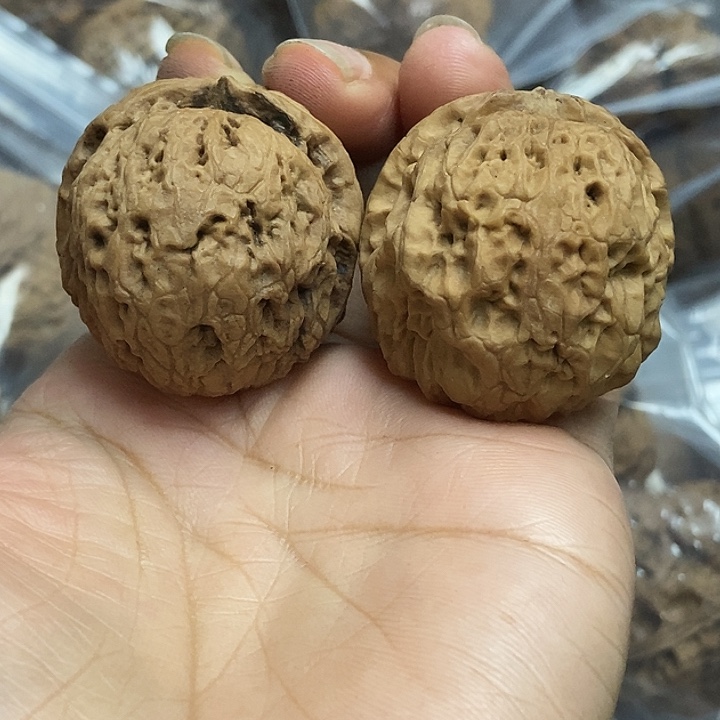 文玩核桃把件云南铁核桃基地28