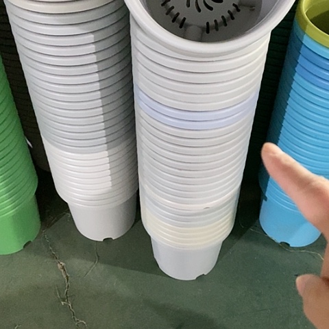 树脂微瑕灰白4号无托8个