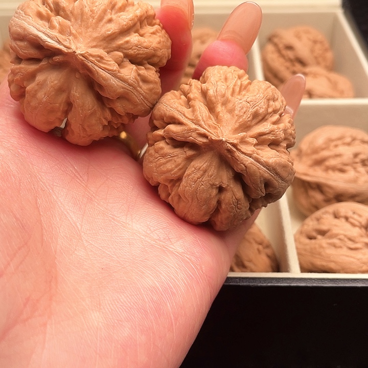 魁***魁霸王龙核桃尺寸42