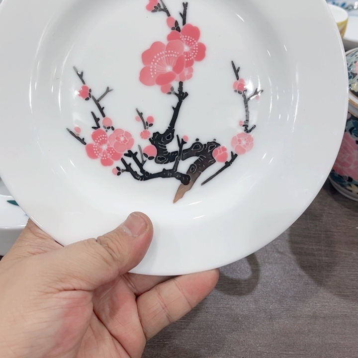 壶釉下五彩的瓷器和瓷器