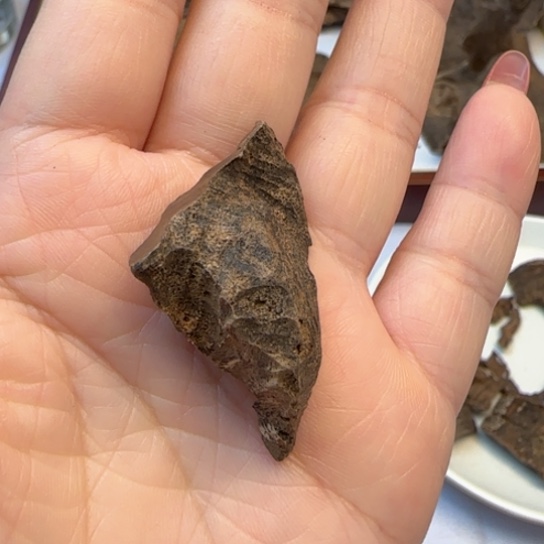 沉香摆件海南野生包头2.1克