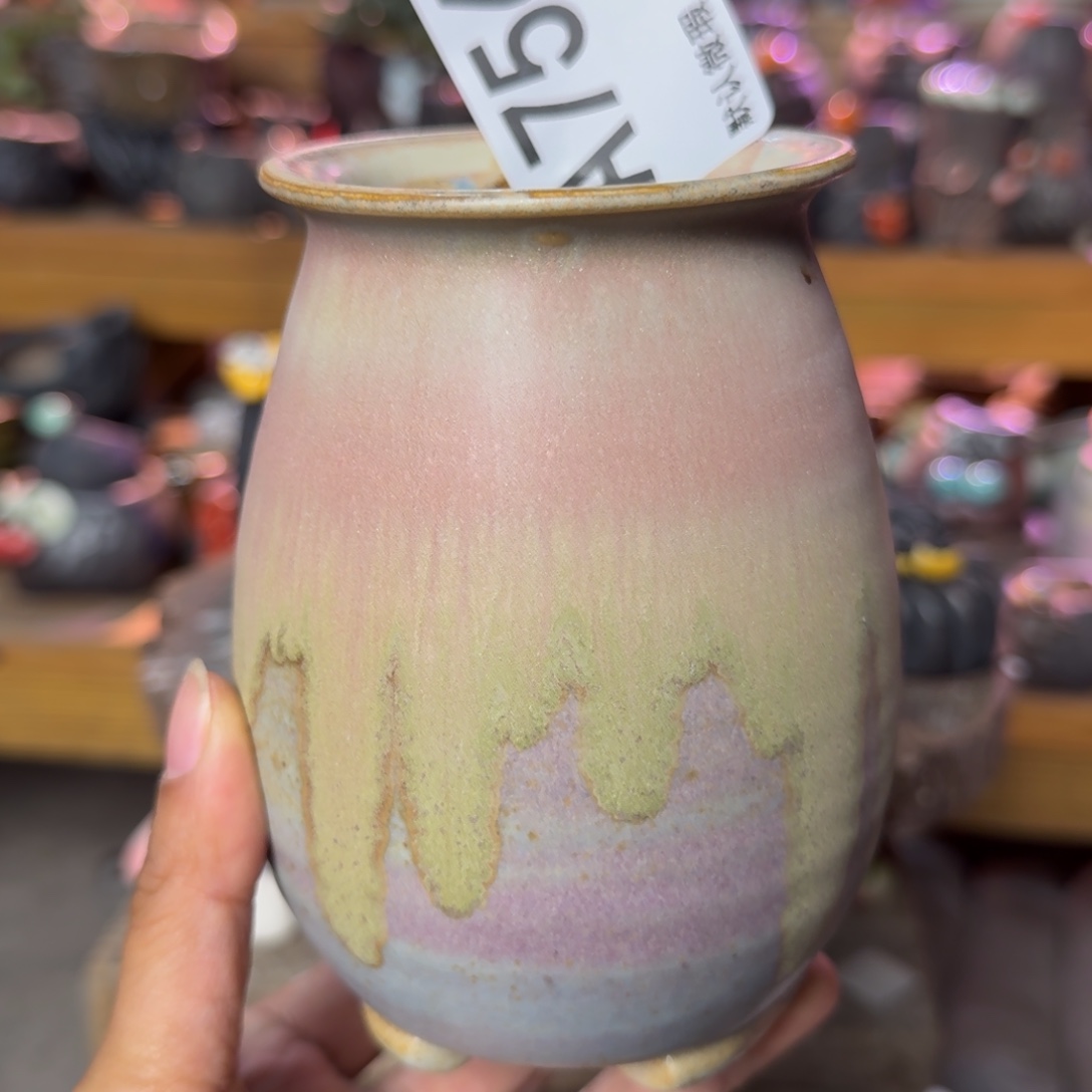 重庆小燕子欢迎大家，756