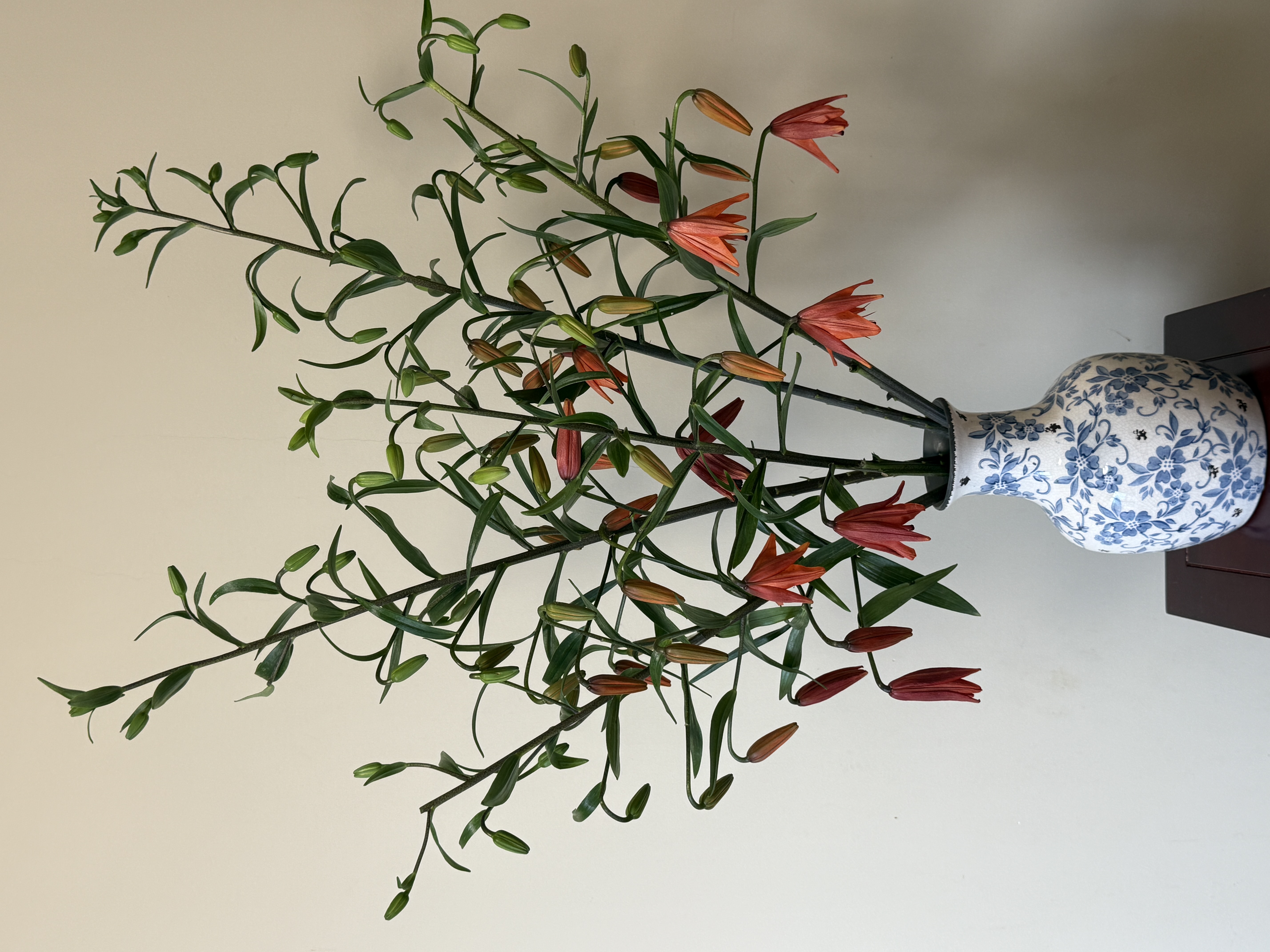 【西施沐浴】90箱1单包邮顺丰冷链包邮 发货后不支持退款