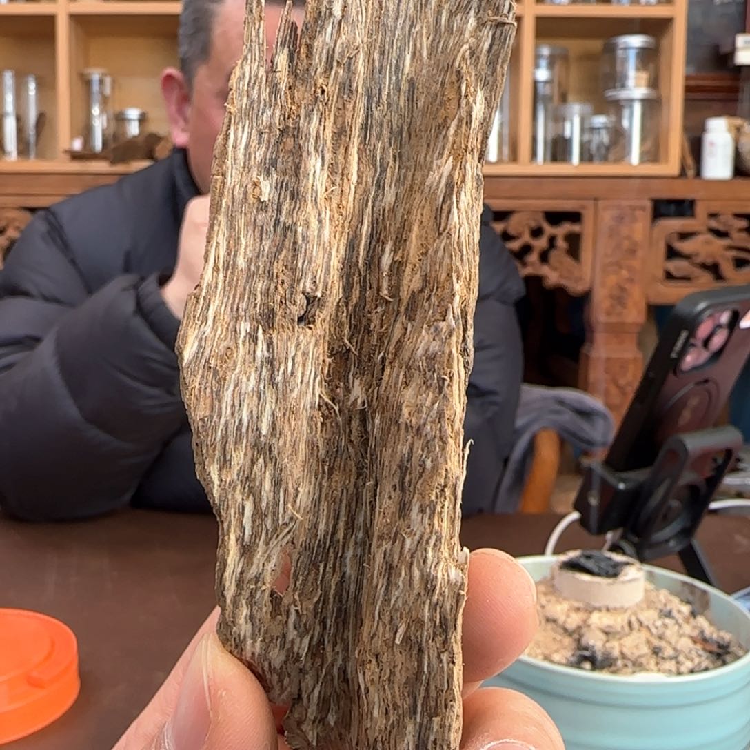 沉香摆件沉香深圳树根野料14克