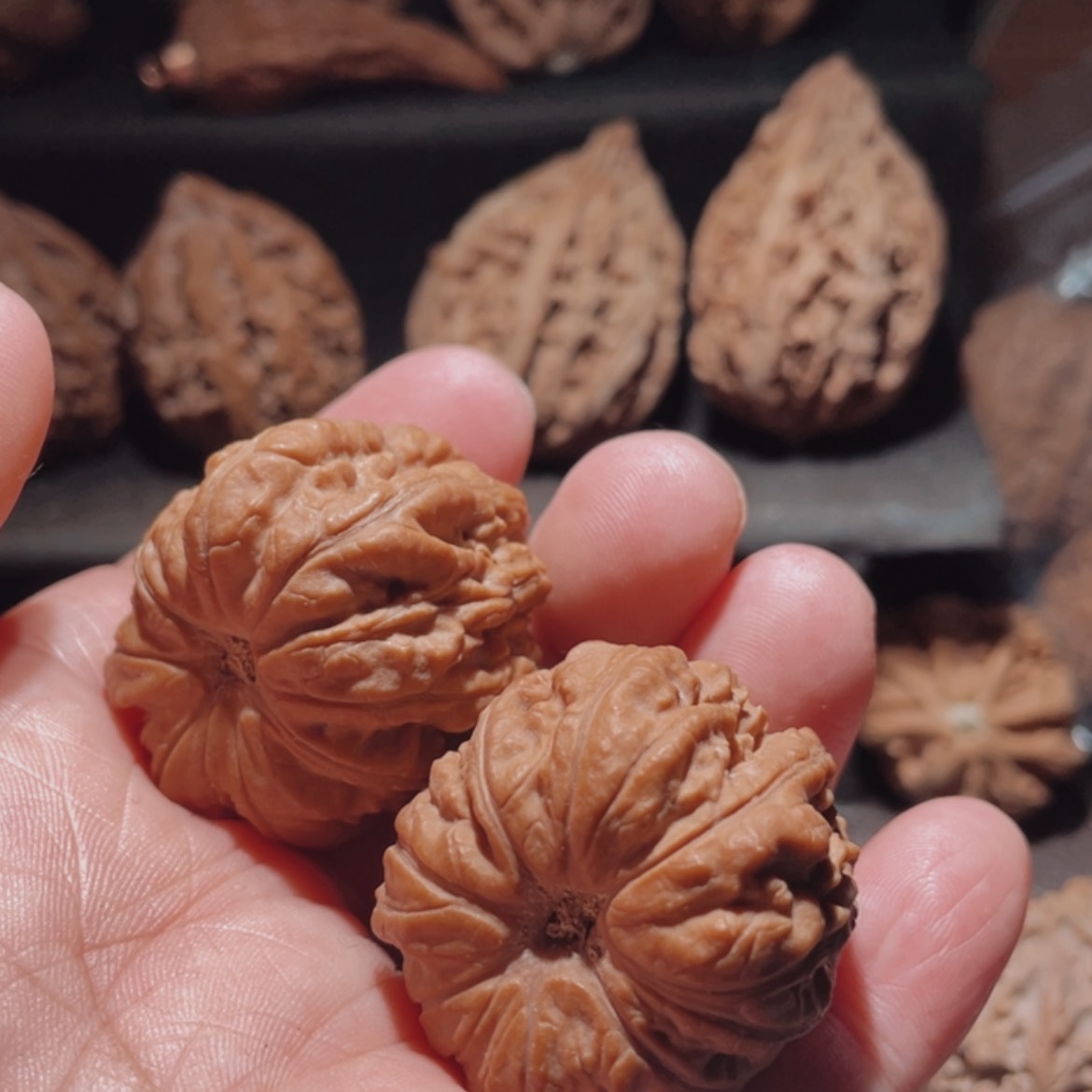 【闪购商品】文玩核桃把件l*u东北楸子7