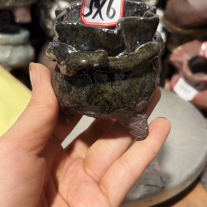 粗陶花盆，现在都不一样