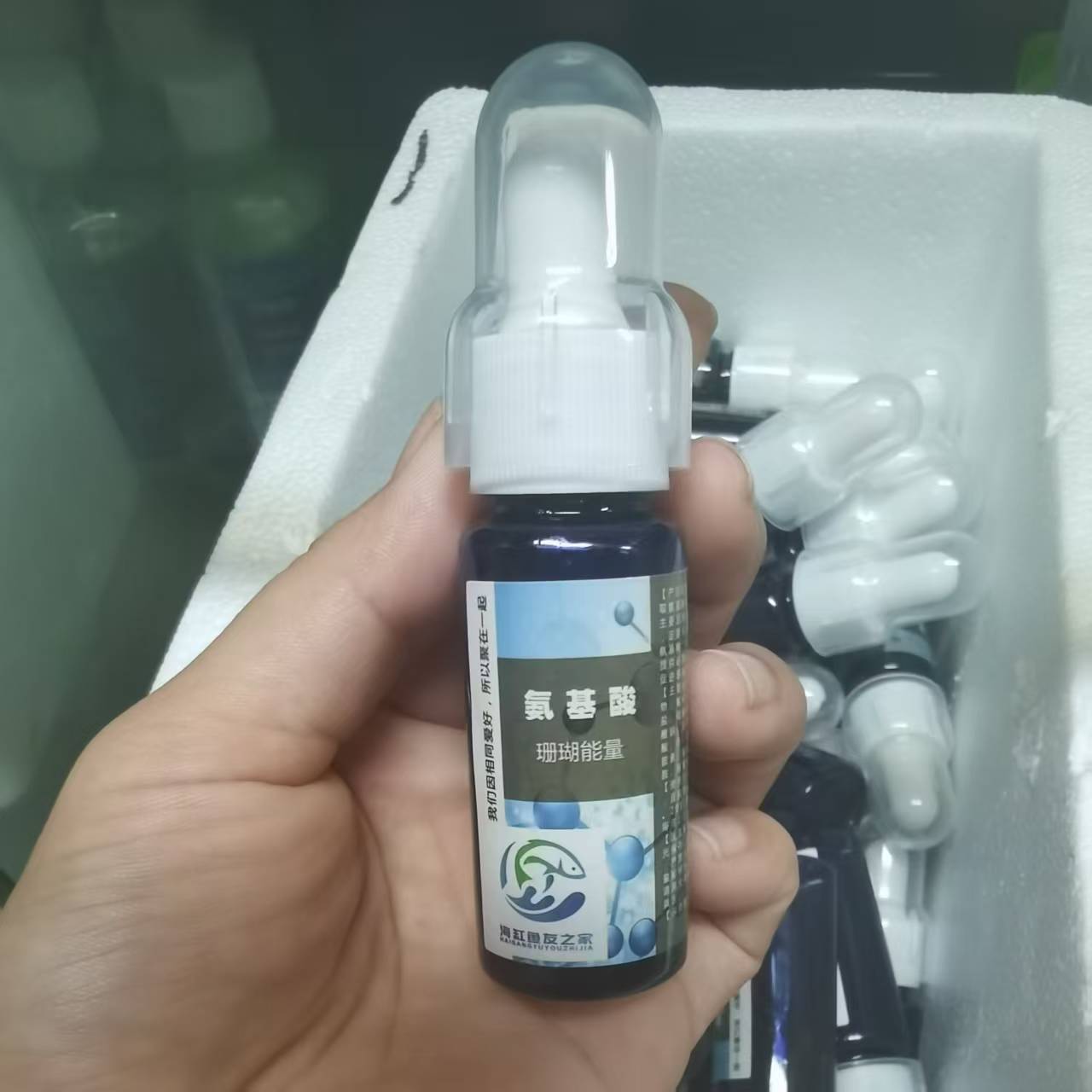 【推荐】珊瑚能量 氨基酸20毫升