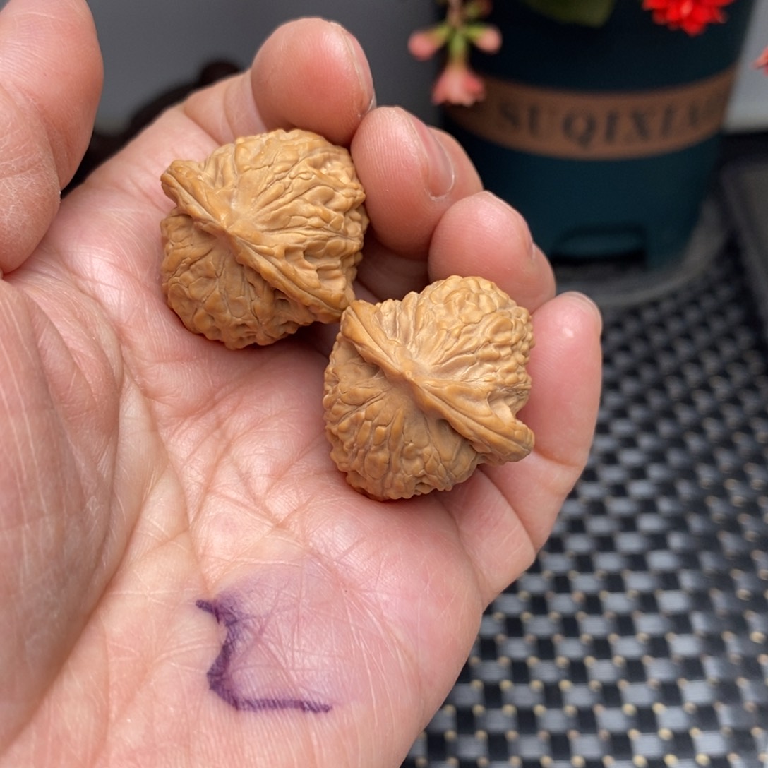 文玩核桃把件野生27尺