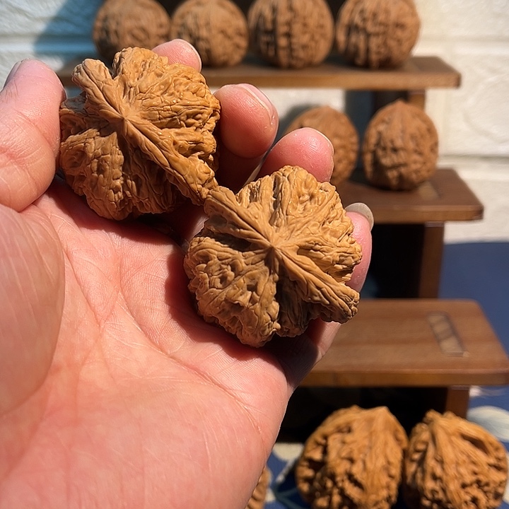 文玩核桃吊坠全品大粗筋