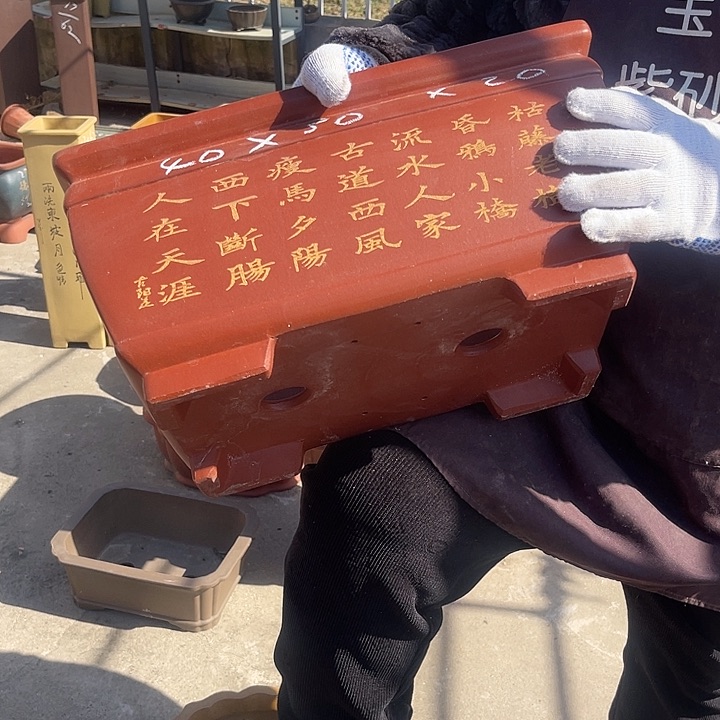 紫砂花盆紫砂花等