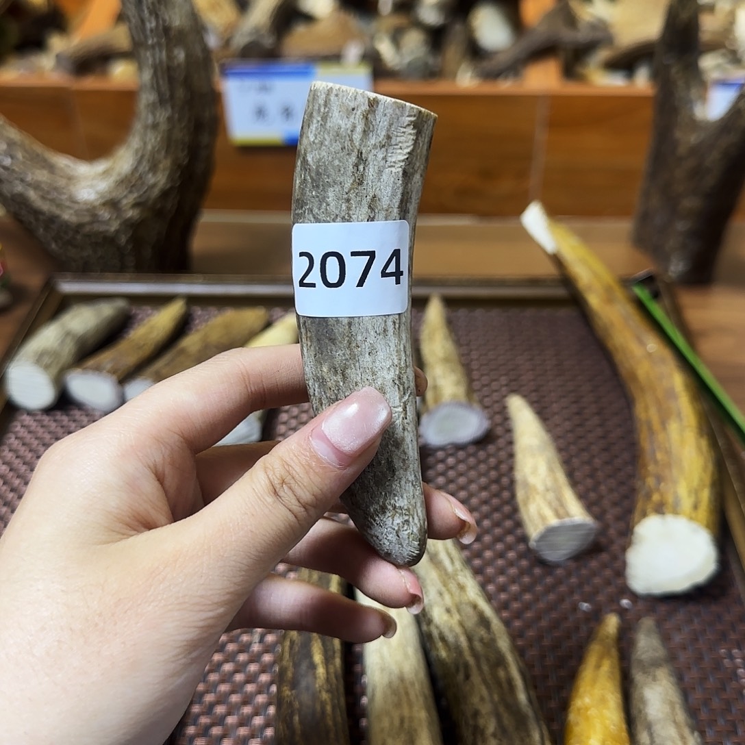 手串/手链鹿骨角尖2074