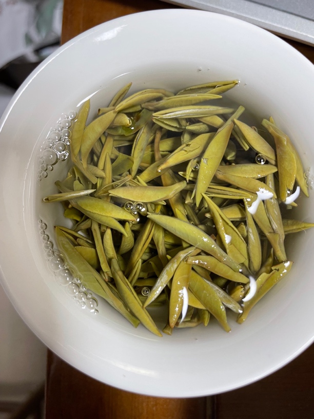 【刘厂长力荐】2025年白毫银针福鼎管阳高山老树茶