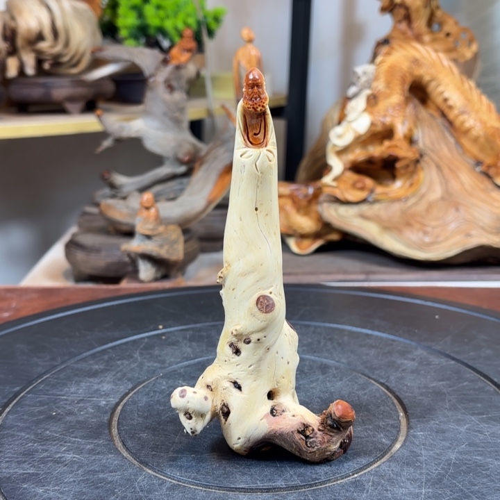 柏木（崖柏）cvbvhhhh