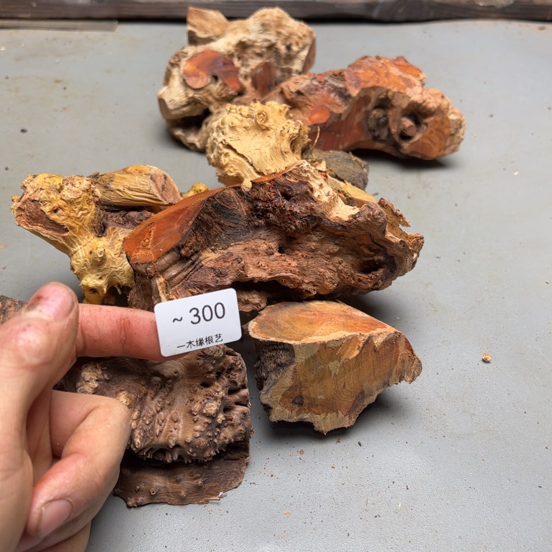 牵****无花朵         300