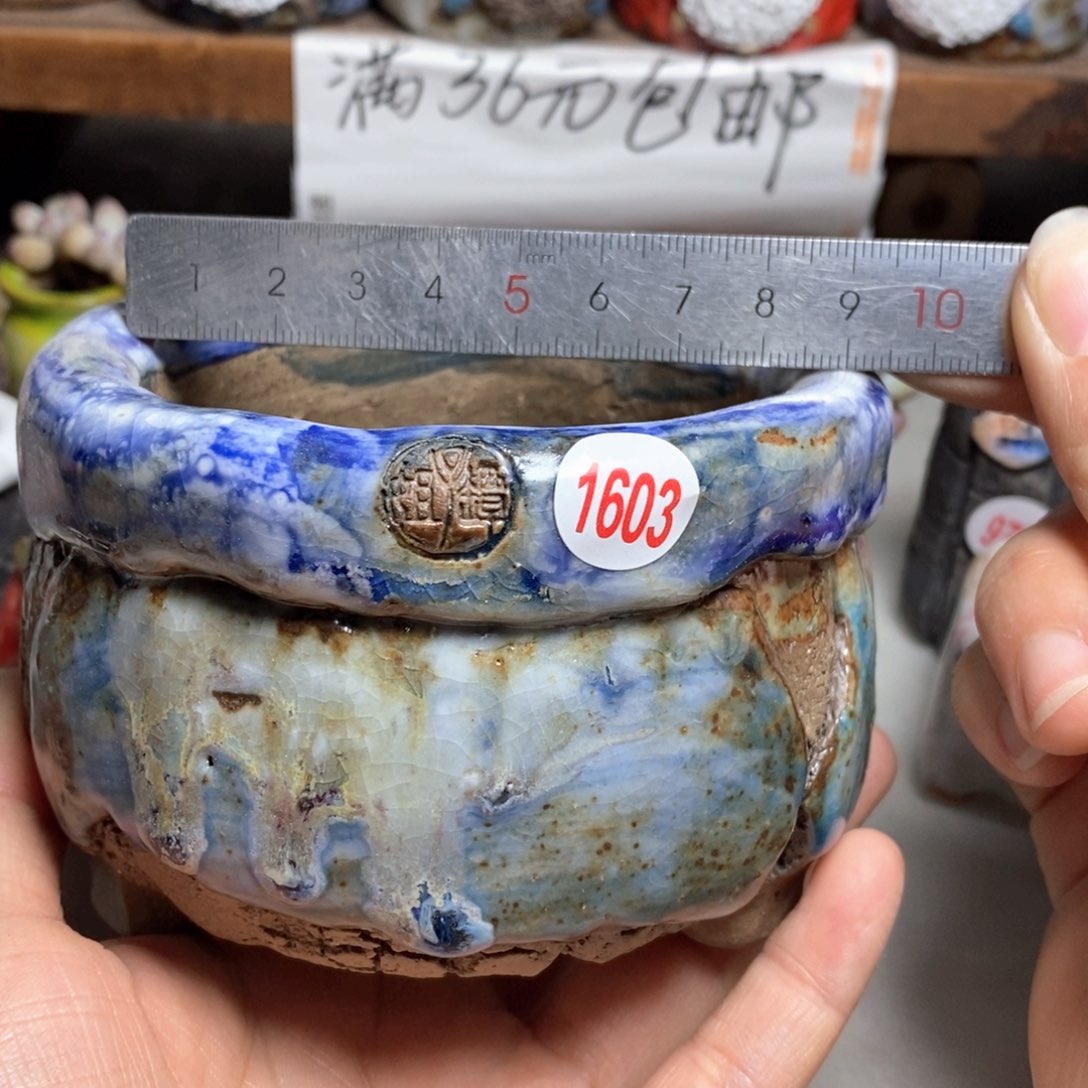 拍5送一个小礼物