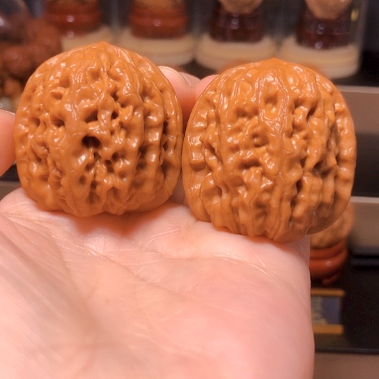 精品野生：高端小众文玩