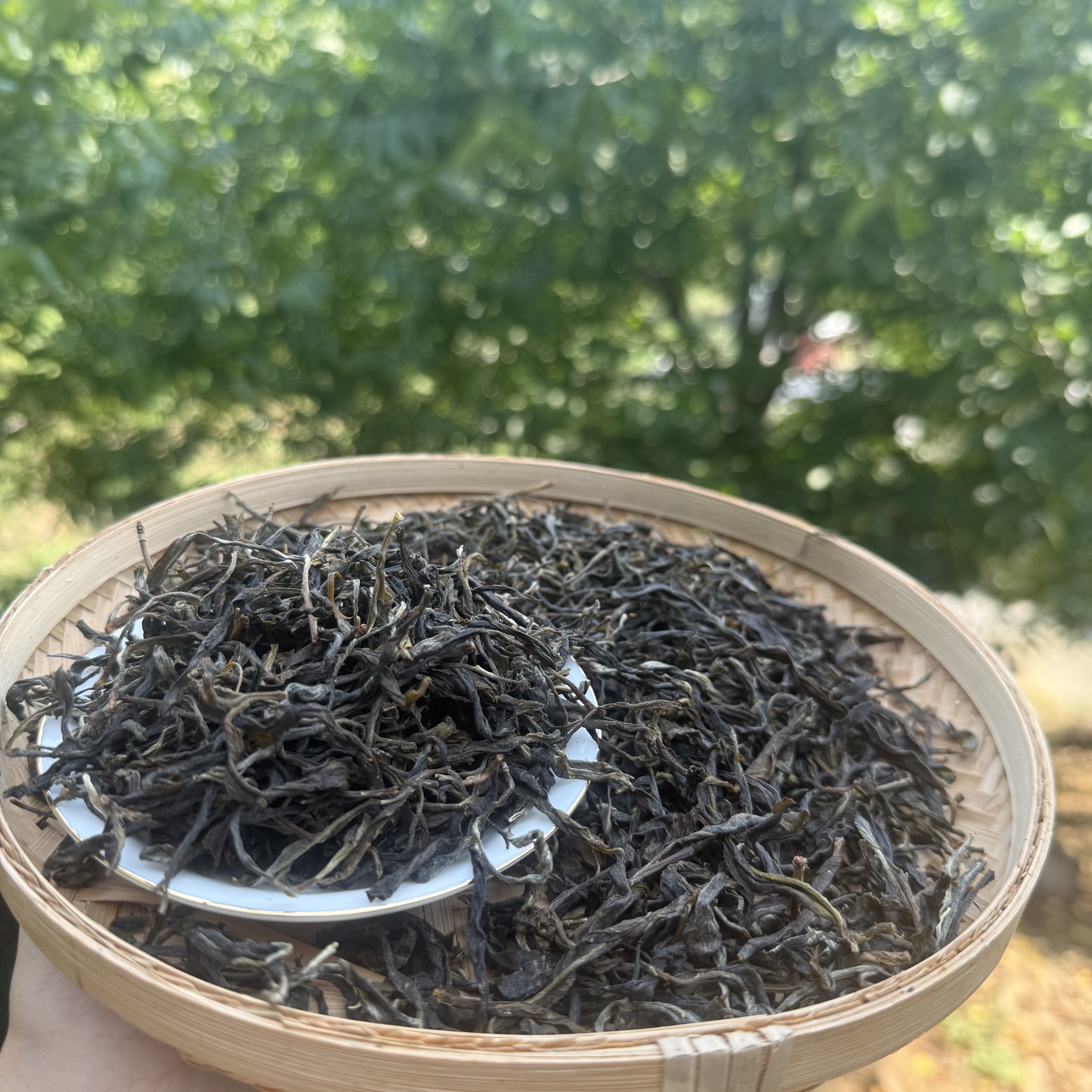 2024年大河头桃花香古树普洱生茶散茶（939）
