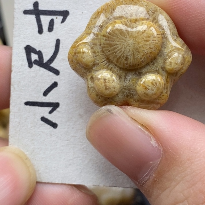 硅化珊瑚（珊瑚玉）未镶嵌颈饰