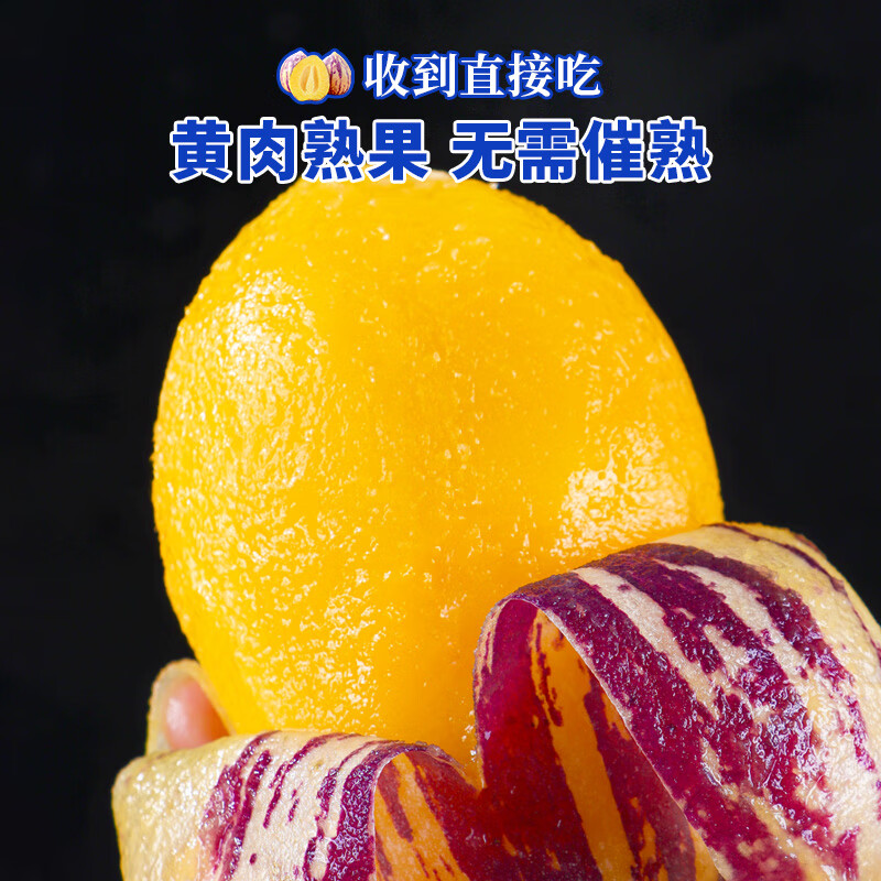 甘肃民勤沙漠人参果现摘新鲜清甜多汁3斤5斤坏果包赔