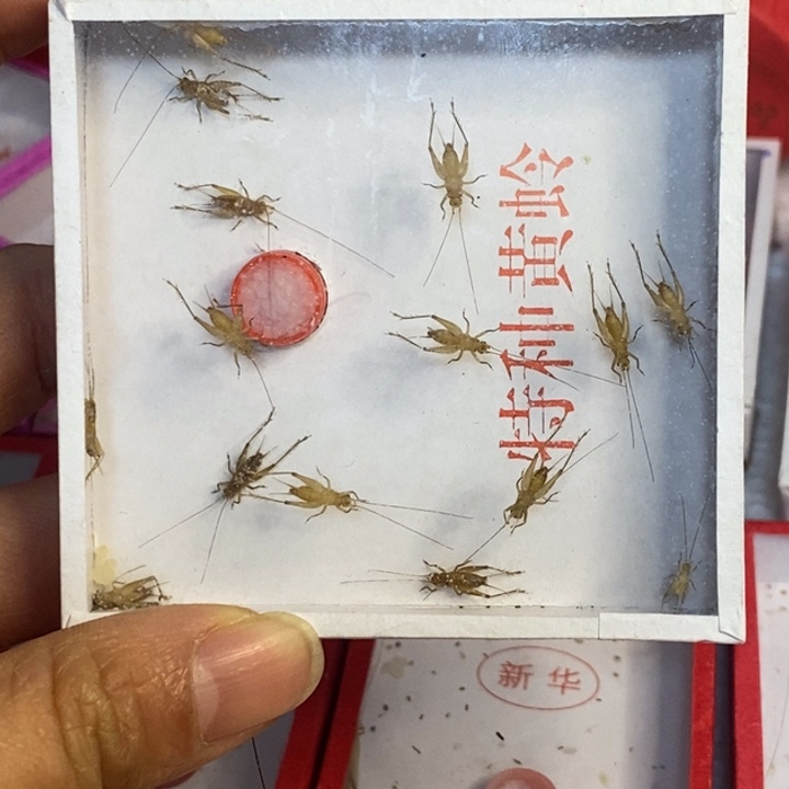 用***6我在等着你回来呀