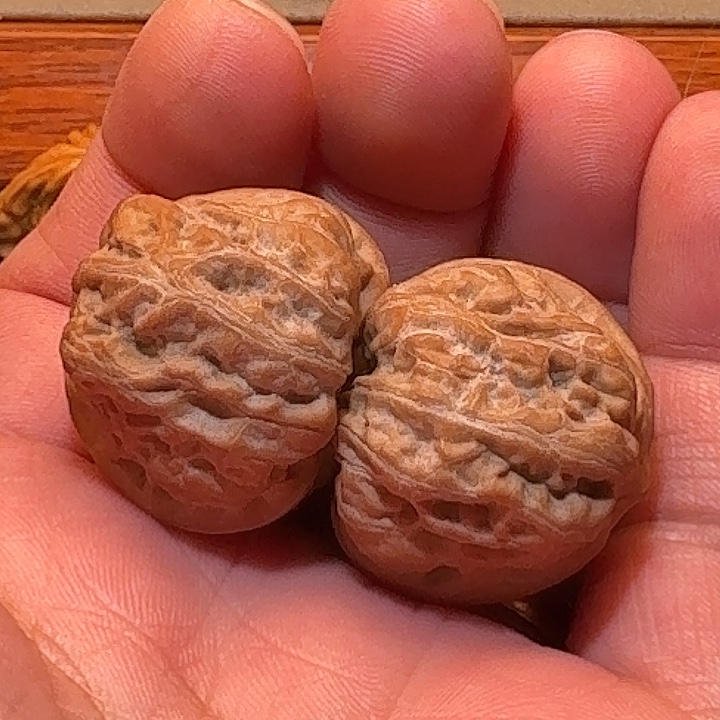 门头沟元宝尺寸34精品皮质好