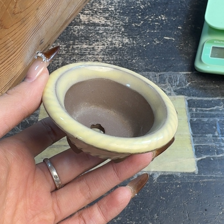 瓷片哈哈哈哈哈哈