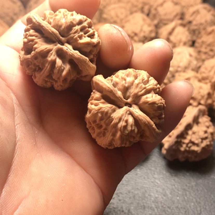 【闪购商品】或*将军