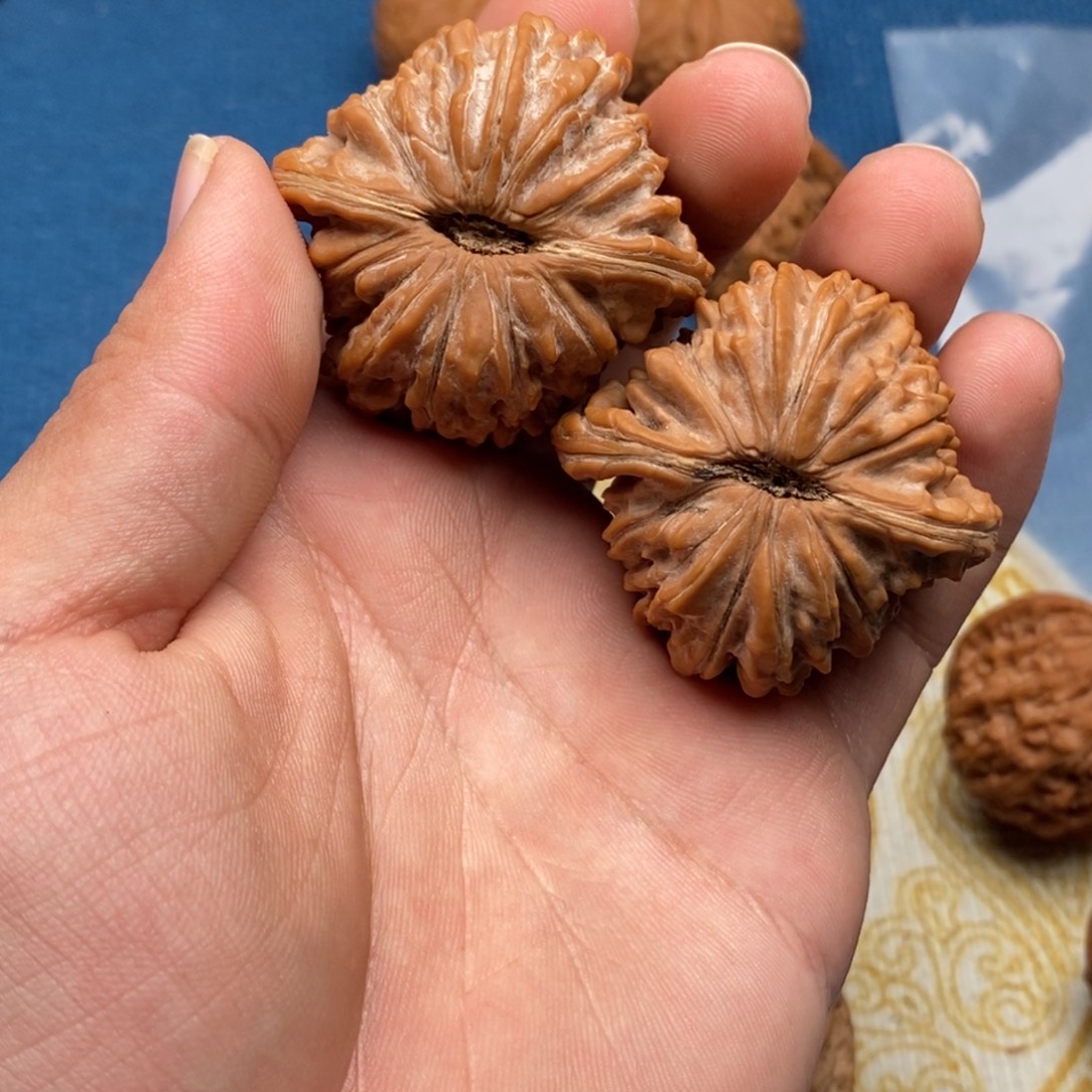 g***n把件文玩核桃43楼