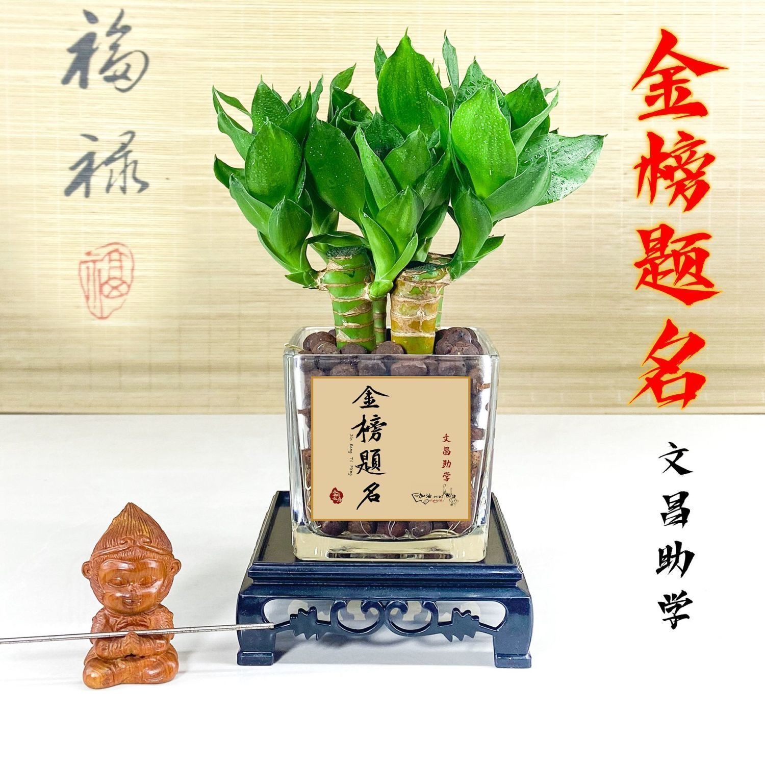 文昌竹水培植物粗杆带根发货书桌盆栽步步高升转运竹子