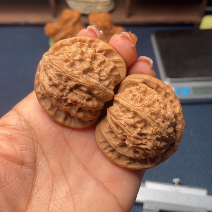 核桃44白狮子全品无修