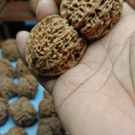 新***人完全开放南疆石核桃