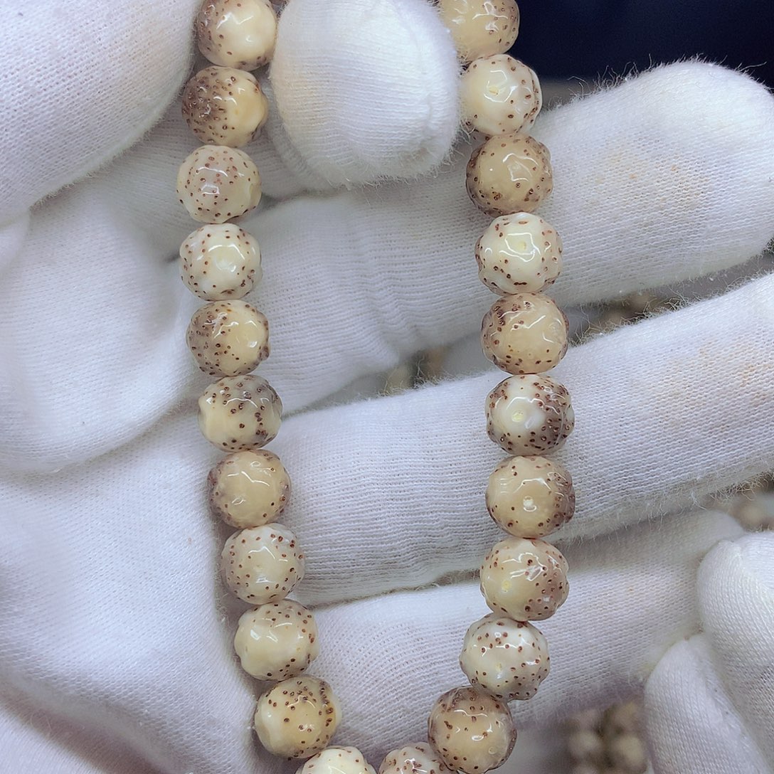 资***子手串星月菩提喜欢